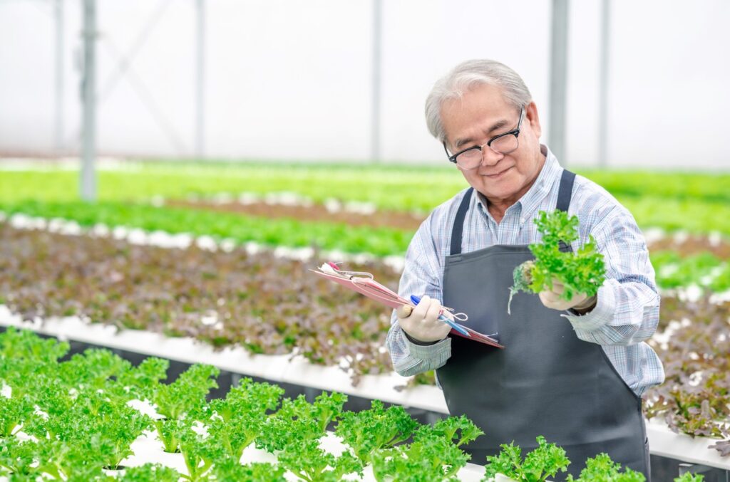 Quem trabalha e mora no campo pode contar com o financiamento de imóvel rural do Sicoob. Os cooperados possuem condições especiais para realizar a compra da sua casa própria. Leia o texto para entender mais sobre como funciona o financiamento imobiliário do Sicoob. Financiamento imóvel rural Sicoob Para o Sicoob, o financiamento imobiliário é um assunto muito sério, portanto, oferece aos seus cooperados os melhores planos. O financiamento de imóvel rural do Sicoob conta com uma modalidade de crédito própria para seus associados que são pessoas físicas. Esta categoria de financiamento está voltada especialmente para reforma, construção e compra de imóveis.* As vantagens para este tipo de crédito são: Flexibilização do pagamento: a pessoa pode escolher como deseja pagar seu financiamento indicando a opção de indexador que se encaixa no seu orçamento; Ajuda para pagar seu financiamento: a renda pode ser composta por até 3 pessoas (PF), não precisa ter vínculo familiar. Taxas mais baixas: o Sicoob traz justiça financeira aos seus associados com taxas atrativas e que cabem no seu bolso. Utilização do FGTS: para compor o valor de entrada ou antecipar parcelas, desde que observadas as regras vigentes no manual do FGTS**. Atendimento personalizado: visando atender às necessidades de cada um. *Para obter mais informações sobre financiamento de imóvel rural é necessário entrar em contato diretamente com a sua cooperativa. **Não é válido para a modalidade Terreno Urbano. Leia mais: Investimento Sicoob Dicas de investimento Financiamento imóvel rural do Sicoob: crédito rural O Sicoob possui linhas específicas de financiamento para cooperados que precisam cobrir despesas do ciclo produtivo, fazer investimentos ou necessitam de recursos para apoiar o seu agronegócio. Esses financiamentos são feitos por meio de linhas de repasse e recursos próprios, do BNDES ou do Fundo Constitucional do Centro Oeste.* Para quem precisa ampliar, diversificar e modernizar a sua produção, o Sicoob oferece linhas de crédito adequadas para o perfil da propriedade: O produtor rural pode financiar máquinas agrícolas, tratores, colheitadeiras, animais para cria e recria, implantação de sistemas de armazenagem e de irrigação, projetos de melhoria genética, adequação e correção de solo, recuperação de pastagens, ações de preservação ambiental, entre outras finalidades;** No custeio agrícola, destina-se à aquisição de insumos, realização de tratos culturais e colheita, beneficiamento ou industrialização do produto financiado e produção de mudas e sementes certificadas e fiscalizadas; No custeio pecuário, nas despesas do dia a dia, estão incluídas a compra de medicamentos e vacinas, a limpeza e a reforma de pastagens e a silagem. As atividades aquícolas e pesqueiras (industrial ou artesanal) também são beneficiadas. *Operações sujeitas à análise e aprovação de crédito. *Para saber sobre crédito rural para compra de terras, é necessário procurar a sua cooperativa. Financiamento imóvel rural do Sicoob: seguro rural Para os trabalhadores do campo, contar com uma proteção para o seu agronegócio é muito importante. O seguro rural do Sicoob oferece coberturas que abrangem a sua propriedade, equipamentos, animais e produção. As coberturas são flexíveis e de fácil contratação, para o trabalhador ficar tranquilo e seguro. Tipos de seguros Cafezal: ideal para produtores de café e cooperativas de produção e crédito, pois possui coberturas diferenciadas; Canavial: garante o pagamento do custeio da lavoura de cana-de-açúcar contra o risco de incêndio no período da entressafra; Colheita Garantida: cobre a produtividade da lavoura segurada contra as perdas decorrentes de seca, chuva excessiva, tromba d’água, granizo, geada, ventos fortes e frios a incêndio, garantindo a estabilidade de renda do produtor rural; Floresta: garante aos produtores as perdas nas florestas ocasionadas por incêndio, raio, fenômenos meteorológicos, queda de aeronaves e ventos fortes, quer estejam em fase de desenvolvimento ou já em fase de comercialização. Prevê o pagamento de custeio, ou o valor comercial para as florestas já em fase de corte. Espécies seguráveis: eucaliptos, pinus, araucária, seringueira e essências naturais; Granizo: trata-se de um seguro agrícola de custeio, que cobre o risco de granizo para vários tipos de culturas como alface, alho, arroz, aveia, batata, berinjela, beterraba, canola, café, cebola, cenoura, centeio, cevada, citros, couve-flor, feijão, girassol, milho, pepino, pimentão, repolho, soja, sorgo, tomate envarado, tomate rasteiro, trigo, triticale e vagem; Multirrisco: cobertura de propriedade rural para incêndio, explosão, raio, vendaval, roubo, furto, danos elétricos, alagamento, responsabilidade civil, máquinas e equipamentos agrícolas, e acidentes de causa externa. Possui a opção de contratação da porteira fechada para as propriedades rurais, segurando todos os itens da propriedade rural, desde itens agrícolas e não agrícolas. Pecuário: cobertura de morte de bovinos doenças de caráter não epidêmicos, incêndio, raio, insolação, eletrocussão, envenenamento, asfixia, parto ou aborto. Benefícios do seguro rural Proteção para os principais cultivos; Proteção para o maquinário agrícola; Proteção para rebanho; Contra intempéries climáticas e incêndio; Despesa de remoção de escombros. Faça parte do Sicoob O Sicoob é a maior cooperativa de crédito do Brasil, com mais de 5,6 milhões de cooperados e 3,5 mil pontos de atendimento distribuídos em todo o país. É composto por cooperativas financeiras e empresas de apoio, que em conjunto oferecem aos cooperados serviços de conta-corrente, crédito, investimento, cartões, previdência, consórcio, seguros, cobrança bancária, adquirência de meios eletrônicos de pagamento, dentre outros. Não perca tempo e comece a contar com a solidez e a proteção de uma instituição financeira cooperativa repleta de benefícios. Abra a sua conta no Sicoob hoje!