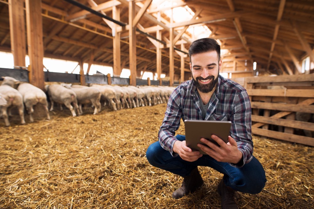 Com o crédito rural em Diamantino/MT do Sicoob Integração, você pode melhorar a produtividade do seu agronegócio, seja ele da atividade pecuária, agrícola, pesqueira ou aquícola. Neste conteúdo, você vai conhecer como esse tipo de financiamento funciona, quem pode solicitar e quais linhas do crédito rural Sicoob estão disponíveis. Boa leitura! O que é crédito rural? Precisou de dinheiro para aplicar em qualquer processo de produção do seu agronegócio? O crédito rural pode te ajudar, sendo você um grande produtor rural, produtor familiar, produtores de pequeno ou médio porte. Mas qualquer instituição financeira pode atuar com carteira de crédito rural? Não, apenas aquelas que têm autorização do Banco Central do Brasil (BCB). Inclusive, se você quer saber especificamente sobre instituições financeiras que concedem crédito rural para compra de terra, pode acessar o Manual de Crédito Rural do BCB. Mas de onde vem os recursos para o crédito para produtor rural? Do Plano Safra, que é um programa do Governo Federal, criado em 2003, para financiar o crescimento do agronegócio do país. O que é título de crédito rural? O título civil e a cédula de crédito rural são a mesma coisa. De acordo com o Art. 10 do Decreto Lei 167/67, é a soma que o produtor rural recebe da instituição financeira credora para aplicação específica no agronegócio. Como funciona o crédito rural em Diamantino/MT no Sicoob Integração? Há vários tipos de crédito rural para o produtor no Sicoob Integração. Eles são de custeio, investimento, comercialização e industrialização. Entenda melhor qual é a diferença entre eles: Tipos de crédito para produtor rural: familiar, pequeno, médio, grande e cooperativas Crédito rural de custeio: financiamento para produtores agrícolas e pecuários custearem despesas necessárias para o funcionamento do ciclo produtivo, desde a compra de insumos até a colheita. Por exemplo: ração para os animais de cria e recria, vacinas, sementes e mudas, fertilizantes agrícolas, mão de obra, entre outros. Para a agricultura, o custeio beneficia também os tratos culturais, assim como processos de beneficiamento ou industrialização. Já para a criação de animais, organismos aquáticos e pesca (artesanal ou industrial), o financiamento inclui a silagem e a limpeza e a reforma de pastagens. Crédito rural de investimento: o produtor rural pode utilizar o dinheiro para modernizar e aprimorar sua produção. Com o dinheiro é possível comprar equipamentos, máquinas agrícolas, melhorar sistemas, processos e tecnologias e ainda para adequar a produção para preservar o meio ambiente. Esse também é crédito rural para compra de gado, para animais de cria e recria. As máquinas agrícolas englobam tratores, semeadoras, plantadeiras, plataformas de corte, colheitadeiras e pulverizadores. Já o investimento no ciclo produtivo inclui processos de armazenagem, beneficiamento, processamento e comercialização, assim como a melhoria dos atributos do solo e genética. Tipos de crédito para produtor rural: grande e cooperativas rurais Crédito rural de comercialização: esse tipo de crédito rural é voltado para grandes produtores rurais e cooperativas de produção agropecuária investirem em qualquer procedimento essencial para a comercialização para garantir a qualidade do seu produto, como armazenamento e conservação. Também pode servir para adiantar o pagamento aos cooperados do Sicoob Integração que têm recursos a receber da comercialização do produto. Contudo, a análise de crédito considera a capacidade de comercialização do agronegócio. Crédito rural de industrialização: para modernizar ou possibilitar a industrialização dos produtos. Tais como o beneficiamento, compra de insumos, mão de obra, manutenção de equipamentos, seguros e impostos, por exemplo. O processo de beneficiamento abrange ações como, limpeza, descascamento, secagem, pasteurização e padronização dos produtos agropecuários, entre outros. Aqui, o financiamento de insumos, ao contrário do custeio, se refere à compra de embalagens, rótulos, conservantes, adoçantes e outros itens. Na Cooperativa Sicoob, o crédito para compra de imovel rural não está incluso em nenhuma das modalidades. Para isso, é necessário solicitar um financiamento de imóvel rural. Veja também: Poupança Diamantino Crédito Consignado Diamantino Como conseguir crédito rural Diamantino/MT: quem pode solicitar? O produtor rural pessoa física e jurídica (PJ e PF), independente do tamanho da produção, cooperativas e associações de produtores podem solicitar o crédito rural do Sicoob. Assim como PJ e PF que atuem com áreas relacionadas à pesquisa, produção e prestação de serviços ou atividades florestais e escoamento da produção. No Sicoob Integração, há diversas linhas de crédito rural para o produtor familiar, pequeno, médio e de grande porte. Agricultores familiares e pequenos produtores rurais devem estar com a DAP (Declaração de Aptidão ao Programa Nacional de Fortalecimento da Agricultura Familiar) válida. E a renda bruta não pode ultrapassar R$ 500 mil. Por sua vez, produtores de médio porte devem estar enquadrados no Pronampe (Programa Nacional de Apoio às Microempresas e Empresas de Pequeno Porte) e a renda bruta máxima deve ser de R$ 2,4 milhões de reais. Por fim, os grandes produtores rurais devem ter uma renda bruta maior do que R$ 2,4 milhões de reais. Para saber mais sobre todas as linhas de crédito rural Diamantino/MT, clique aqui. Para solicitar o crédito rural, vá até a cooperativa mais próxima de você. Consulte aqui as unidades do Sicoob Integração. Contudo, você também pode solicitar o serviço de crédito rural online pelo App Sicoob.