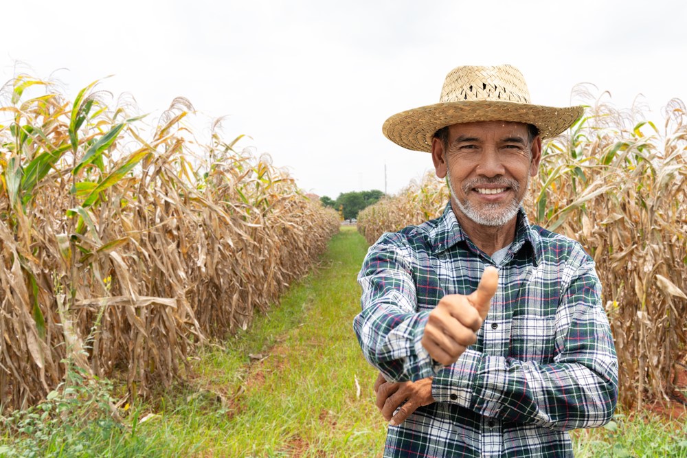 No Sicoob Integração, você encontra o melhor crédito rural em Ipiranga do Norte/MT, seja você um produtor rural familiar ou de grande porte. Com esse recurso, você vai aumentar a produtividade do seu agronegócio ou modernizar sua produção. Então, quer saber como solicitar e como funciona o crédito rural? Leia o conteúdo que preparamos para você! Antes de tudo, o que é crédito rural? É um tipo de financiamento que algumas instituições financeiras, como o Sicoob Integração, concedem para produtores rurais (pessoa física e jurídica), do setor de pesca, de agricultura, de aquicultura ou pecuário. O crédito rural pode ser utilizado para diversos fins dentro da propriedade rural ou para a industrialização e comercialização dos produtos. Por exemplo, para a aquisição de máquinas e sistemas agrícolas, aprimoramento de etapas da produção e custeio de insumos e outras despesas do ciclo produtivo. Se você quer entender melhor sobre como as instituições financeiras podem atuar com esse produto, confira o Manual de Crédito Rural do BCB (Banco Central do Brasil). E o que é título de crédito rural? É nada mais do que a cédula de crédito rural, um título representativo que é emitido pela instituição financeira credora. Com ele, o produtor rural ou a cooperativa rural, utiliza o recurso de acordo com a finalidade específica do financiamento. Como é o crédito rural do Sicoob Integração? No Sicoob, o crédito rural em Ipiranga do Norte/MT é dividido de acordo com o tamanho da produção. Para o pequeno produtor e o agricultor familiar, estão disponíveis o crédito rural para custeio e investimento, assim como para o produtor de médio porte. A diferença entre eles são as linhas de crédito rural, que vêm de diferentes fontes. O financiamento pode vir direto da instituição financeira credora ou de instituições federais, como o BNDES, repassados por programas específicos para cada tamanho do agronegócio. E também há o crédito rural para produtores de grande porte e cooperativas de produtores rurais, que também provém de programas diferentes para esse tamanho de produção. Se você quer saber sobre como adquirir o crédito rural para compra de gado, é com o crédito para investimento, para compra de animais de cria e recria. Contudo, o crédito rural para compra de terra não faz parte das linhas de crédito rural do Sicoob. Na realidade, para conseguir um crédito para compra de imóvel rural, o produtor precisa solicitar o financiamento de propriedade rural. Veja também sobre: Crédito consignado em Ipiranga do Norte Tipos de crédito rural em Ipiranga do Norte/MT que o Sicoob oferece Há 4 tipos de crédito para produtor rural: 1- O crédito rural para custeio serve para custear despesas do cotidiano, desde a compra de insumos até a colheita. Por exemplo: ração dos animais, sementes, mudas, vacinas, mão de obra e fertilizantes. 2- Já o crédito para investimentos destina-se à compra de bens, para modernização da infraestrutura e melhoria da produção que se mantenha ao longo de vários ciclos de produção. Por exemplo: máquinas agrícolas, etapas da produção agrícola (armazenagem, beneficiamento, processamento e comercialização), tecnologia e sistemas sustentáveis. 3- E o crédito rural para comercialização é para viabilizar o financiamento do armazenamento e conservação dos produtos, para garantir sua qualidade até a comercialização. Por exemplo: pagamento adiantado dos cooperados da cooperativa de produtores rurais, aluguel ou construção de armazém, dentro ou fora da propriedade rural. 4- Por fim, temos o crédito para industrialização que possibilita a industrialização dos produtos agrícolas, destinando o recurso para a modernização ou viabilização da pós-produção, dentro da propriedade rural. Por exemplo: beneficiamento, insumos (embalagem, rótulo, conservantes etc) mão de obra, seguros, impostos e manutenção dos equipamentos. Crédito rural: como funciona e quem pode solicitar? Os produtores rurais precisam se enquadrar dentro das exigências dos programas de crédito rural. Veja quais são elas para cada porte: Mas sabia que não são apenas produtores rurais que podem solicitar crédito rural em Ipiranga do Norte\MT? Além das cooperativas e associações de produtores rurais, pessoas físicas e jurídicas que atuam na área de pesquisa agropecuária, na prestação de serviços para o agronegócio e na própria produção podem solicitar o crédito rural. Além disso, agentes que trabalham com atividades florestais ou com serviços de escoamento da produção podem fazer uso do financiamento. Como conseguir crédito rural em Ipiranga do Norte/MT pelo Sicoob? Se você já tem o App Sicoob instalado no seu celular, basta solicitar o crédito rural online no próprio aplicativo. Mas se você ainda não é um cooperado ou prefere conversar com um dos nossos consultores, pode visitar nossa agência na Rua dos Girassóis, 838 - Centro. WhatsApp: (66) 99616-1336 Leia mais: Poupança em Ipiranga do Norte