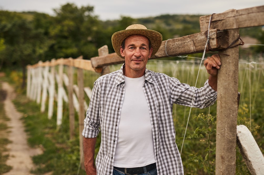 Se você deseja realizar qualquer tipo de investimento no seu agronegócio, precisa conhecer melhor sobre o crédito rural em Trivelato - MT. Dessa forma, consegue comprar máquinas agrícolas ou pagar as despesas diárias do seu ciclo produtivo, para modernizar ou expandir a sua produção. Então, se quer saber mais sobre como funciona o crédito rural, quem pode solicitá-lo e como utilizá-lo para investir, seja na agricultura ou na pecuária, leia este material que preparamos para você. Boa leitura! O que é crédito rural e por que é importante? A agropecuária é um segmento importante para o Brasil, que ajuda a aumentar o PIB (Produto Interno Bruto). Portanto, quanto mais investimento recebe, mais forte se torna a economia. É por isso que o governo federal criou um programa para fomentar o agronegócio do país, o Plano Safra, que existe desde 2003. Ele disponibiliza um tipo de investimento específico, o crédito rural, para que os produtores, cooperativas e associações possam investir na propriedade, onde ocorre a produção. Para o Plano Safra 2022/2023, o governo disponibilizou mais de R$ 340 bilhões. Esse valor chega para os produtores rurais por meio das linhas de crédito rural, como o Pronaf (Programa Nacional de Fortalecimento da Agricultura Familiar) e o Pronamp (Programa Nacional de Apoio ao Médio Produtor Rural). Mas o crédito também pode ser concedido por linhas próprias de instituições financeiras autorizadas, seguindo as diretrizes do Manual de Crédito Rural. Este é um documento oficial, elaborado pelo Conselho Monetário Nacional (CMN) e publicado pelo Banco Central do Brasil (BCB). É neste mesmo manual que é estipulado quais instituições financeiras podem conhecer crédito rural para compra de imóvel rural. Crédito rural: como funciona? O crédito para produtor rural é destinado para a atividade agropecuária, de acordo com o porte da produção. Agricultores familiares, por exemplo, têm acesso ao crédito de custeio e investimento, que inclui compra de insumos agrícolas, pagamento de obra etc. Por outro lado, grandes produtores podem utilizar os recursos do crédito de comercialização e industrialização, para financiar a estocagem dos produtos ou para financiar a compra de insumos para a venda, como embalagens e rótulos. Os tipos de linhas também variam de acordo com o porte da produção. Apenas grandes produtores podem utilizar os recursos destinados ao ciclo produtivo do café. Já para os pequenos produtores, existem linhas específicas para estimular a participação da mulher na atividade agropecuária. Tipos de crédito rural do Sicoob União MT/MS Inserir vídeo do Youtube: https://www.youtube.com/watch?v=nmB6hB3PlRQ As linhas estão divididas entre os diferentes tipos de crédito em Trivelato - MT. Entenda melhor a diferença e suas finalidades: Crédito rural de custeio Como dissemos anteriormente, este crédito é destinado apenas a pequenas produções, assim como para médias produções. Aqui, o produtor consegue utilizar os recursos para comprar fertilizantes, sementes, mudas, vacinas, rações e medicamentos, que são insumos essenciais para o ciclo produtivo. Mas com esse crédito, o produtor rural também consegue melhorar a sua produção, instalando sistemas de irrigação, armazenagem e tratos culturais, além de pagar a mão de obra. Crédito rural de Investimento O médio e o pequeno produtor podem utilizar os recursos das linhas de crédito para melhorar sua produção, desde que a benfeitoria permaneça por vários ciclos. Isso significa que é um crédito rural para compra de gado (cria e recria), de máquinas agrícolas, de tecnologias para a preservação ambiental, correção do solo e recuperação de pastagens. Contudo, aqui não é incluído o crédito rural para compra de terra. Crédito rural de Comercialização Com este crédito, grandes produtores, o que inclui associações e cooperativas, podem utilizar o financiamento para financiar o armazenamento, para que o produto chegue com qualidade ao mercado. Além disso, pode ser utilizado para adiantar o pagamento da venda dos seus produtos. Crédito rural de Industrialização Já o crédito para industrialização, é indicado para que os grandes produtores possam melhorar as etapas do ciclo produtivo, desde que aconteçam dentro da propriedade do produtor. Esse crédito também pode ser utilizado para que o produto chegue às prateleiras. Por exemplo, para o financiamento de conservantes, adoçantes, condimentos, rótulos e embalagens. Ou ainda para pagar mão de obra, impostos, seguros e manutenção das máquinas. Como conseguir crédito rural? Para ter acesso ao crédito rural em Trivelato - MT, o produtor rural precisa se enquadrar nos requisitos das linhas, de acordo com o tamanho da produção. Veja abaixo quais são eles: O que é título de crédito rural? Após solicitar uma linha de crédito, a instituição credora concede uma cédula de crédito rural para o devedor, que representa a quantia do investimento, e que será utilizada conforme sua finalidade. Há 5 tipos de cédula: Cédula Rural Pignoratícia; Cédula Rural Hipotecária.; Cédula Rural Pignoratícia e Hipotecária; Nota de Crédito Rural; Cédula de Crédito Bancário. A diferença entre elas está na forma como o crédito rural em Trivelato - MT é concedido, quando e para qual finalidade. Sicoob: crédito rural em Trivelato - MT Com base nos valores do Plano Safra, o Sicoob conseguirá repassar R$ 41 bilhões para os créditos de custeio, investimento, comercialização e industrialização. Além dos recursos do governo, as cooperativas do Sicoob também disponibilizam recursos próprios para seus cooperados. Para adquirir o crédito rural do Sicoob União MT/MS, você pode se dirigir até a agência mais próxima ou ainda solicitar o crédito rural online pelo App Sicoob. Se você já for um cooperado, basta instalar o aplicativo e entrar na sua conta. Mas se você ainda não for um cooperado, precisa abrir sua conta em primeiro lugar, que também pode ser pelo aplicativo ou em uma das nossas agências. Você também pode se interessar por: Poupança em Nova Mutum/MT