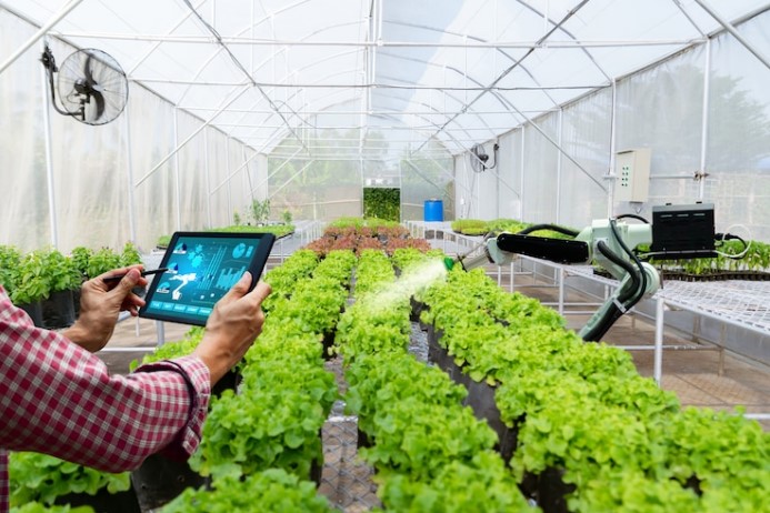 Você sabe como um produtor rural pode impulsionar o seu agronegócio a partir do crédito rural em Jaciara? Leia esse conteúdo para entender como esse produto serve e como funciona para contratar. Como os produtores rurais podem melhorar o seu negócio? Alguns produtores rurais, quando querem investir em seu agronegócio, seja para adquirir uma máquina agrícola nova ou insumos para o plantio, podem cogitar em solicitar um financiamento. Contudo, esse não é o produto financeiro correto para realizar qualquer tipo de investimento em atividades rurais, seja você um produtor familiar ou de grande porte, de plantio ou criação de gado. Existem programas de repasse específicos do Governo, do BNDES, por exemplo, para estimular o crescimento da produção rural no Brasil, que vem do Plano Safra, que chega até os produtores, por meio das instituições financeiras. Mas elas também podem oferecer recursos próprios, como é o caso do Sicoob. Contudo, isso não significa que qualquer instituição pode oferecer crédito rural para seus clientes. Elas precisam estar autorizadas pelo Banco Central do Brasil (BCB), que segue as diretrizes do Manual de Crédito Rural (MCR), que é elaborado pelo Conselho Monetário Nacional (CMN). O mesmo acontece com o crédito rural para compra de terras, por exemplo. As instituições precisam atender alguns requisitos do MCR para que possam oferecer as linhas de financiamento de custeio, investimento, comercialização, industrialização e aquisição de imóve rural. Então, se você quer saber tudo sobre crédito rural, para iniciantes ou para quem já é cooperado do Sicoob Primavera MT, continue acompanhando este conteúdo e aprenda como é fácil investir no seu agronegócio! Crédito rural: o que é? É um tipo de financiamento específico para o agronegócio, o que inclui pecuária (animais para cria ou recria), agricultura, aquicultura e pesca (industrial ou artesanal). Então, se você já procurou uma forma de investir no seu agronegócio, talvez já tenha se deparado com o termo “cédula de crédito rural”. É o mesmo que título de crédito rural, um título representativo do pagamento da instituição credora para o cliente devedor, conforme explica a Seção I do Capítulo II do Decreto Lei 167/67. Dessa forma, é com a cédula que é possível utilizar o recurso para a finalidade da linha de investimento que o crédito foi concedido. Enfim, agricultores familiares, pequenos, médios, grandes e cooperativas de produtores rurais podem se beneficiar com o crédito rural, desde que estejam enquadrados nos requisitos dos programas. Veja quais são eles a seguir: Requisitos para solicitação de crédito rural Agricultor familiar e pequeno produtor - DAP (Declaração de Aptidão ao Pronaf) válida e renda bruta até R$ 500 mil. Médio produtor rural - Enquadrar no Pronampe (Programa Nacional de Apoio às Microempresas e Empresas de Pequeno Porte) e renda bruta entre R$ 500 mil e R$ 2,4 milhões. Grande produtor e cooperativos de produção agrícola - Renda bruta superior a R$ 2,4 milhões. O que é crédito rural e quais seus principais objetivos? Como dissemos anteriormente, o crédito rural, no contexto do desenvolvimento econômico e social, tem um papel muito importante para o Brasil. Apenas em 2019, o agronegócio foi responsável por 21% do Produto Interno Bruto (PIB). E em 2021, alcançou a marca de 27,4%. Portanto, ao estimular seu crescimento, também é uma forma eficiente de melhorar a economia do país. Afinal, quanto melhor for o PIB de um país, mais investimentos estrangeiros atrai e mais dinheiro entra em circulação, assim como ocorre um aumento de ofertas de trabalho e de renda familiar. É por isso que o Sicoob tem forte participação no setor, para que produtores rurais consigam ter acesso a produtos e serviços financeiros justos, nas diversas cidades do país. Com os produtos do Sicoob, nossos cooperados conseguem transformar todos os seus objetivos em conquistas. Ao todo, o Sicoob tem quase 4 mil postos de atendimento pelo Brasil, sendo que é a única instituição financeira que está presente em 326 municípios e atende mais de 2.000 municípios. Veja também: Crédito consignado em Jaciara Tipos de crédito rural em Jaciara pelo Sicoob Primavera MT Como você viu acima, os produtores rurais precisam cumprir alguns requisitos, de acordo com as linhas de crédito rural para cada tipo de porte. É por isso que produtores pequenos têm acesso apenas ao custeio e ao investimento, já que não conseguem alcançar a mesma capacidade de um grande produtor e tem necessidades mais básicas. Então, conheça agora os tipos de crédito rural em Jaciara disponíveis para você: Crédito rural de custeio Todos os produtores têm acesso a este investimento, para custearem despesas regulares do seu processo produtivo, o que inclui a compra de insumos para o plantio, como mudas, sementes, fertilizantes, sistema de irrigação e armazenagem, mão de obra, vacinas, remédios, ração e tratos culturais. Processos de melhoria, como beneficiamento e industrialização, também estão inclusos no custeio para a agricultura. E no restante das atividades agropecuárias, silagem, limpeza e reforma de pastagem. Crédito rural de investimento Este tipo de crédito também abrange todos os portes de produção, que tem a finalidade de melhorar o ciclo produtivo, desde que o investimento beneficie a produção por vários ciclos. Por exemplo, pode ser aplicado para a compra de gado, máquinas e equipamentos agrícolas, projetos de melhoria genética, processos para a melhoria do solo, ações de preservação ambiental e benfeitorias na infraestrutura em geral. Contudo, de acordo com o Manual do Crédito Rural, não é possível utilizar este financiamento para comprar propriedade rural. Crédito rural de comercialização Já este crédito é destinado apenas para grandes produtores e cooperativas, para viabilizar o processo de comercialização e garantir a qualidade final do produto. Portanto, o recurso pode ser utilizado para a armazenagem e conservação. Mas no Sicoob Primavera MT, também é possível utilizar o crédito para adiantar o pagamento que o produtor tem a receber com a venda dos seus produtos. Crédito rural de industrialização Assim como o modelo anterior, o crédito só pode ser utilizado para produtores de grande porte, mas desde que todas as etapas de pós-produção aconteçam dentro da propriedade do produtor. Aqui, ele pode utilizar o crédito rural para o beneficiamento, para a compra de insumos para a industrialização, como rótulos e conservantes, para o pagamento de funcionários, impostos, seguros e manutenção dos equipamentos. Leia mais: Poupança em Jaciara Quem pode solicitar crédito rural em Jaciara? https://www.youtube.com/watch?v=nmB6hB3PlRQ Não só produtores (Pessoa Física e Jurídica) podem solicitar o crédito rural do Sicoob Primavera MT, como também agentes que trabalham como atividades florestais, pesquisa ou produção de insumos agrícolas, melhorias genéticas (embriões e sêmen para inseminação artificial) e prestação de serviços mecanizados. Se você já for um cooperado do Sicoob, pode solicitar seu crédito rural em Jaciara diretamente pelo App Sicoob. Mas se você ainda não for, pode abrir sua conta diretamente pelo aplicativo. Se preferir, sendo um cooperado ou não, você pode ir até a agência mais próxima de você e conversar com um dos nossos consultores. Agência PRIMAVERA DO LESTE ENDEREÇO: AV. SÃO JOÃO, 306 CENTRO CEP: 78850-000 TELEFONE: 66 3500 6800 Agência JARDIM PARAÍSO (PRIMAVERA – MT) ENDEREÇO: AV. DAS TAMAREIRAS, 699, RESIDENCIAL BURITIS PRIMAVERA II CEP: 78.850-000 TELEFONE: 66 3500 6800 Agência CAMPO VERDE ENDEREÇO: AV. BRASIL, 714 CENTRO CEP: 78.840-000 TELEFONE: 66 3419 5001 Agência JACIARA ENDEREÇO: AV. PIRACICABA, 685 CENTRO CEP: 78.820-000 TELEFONE: 66 3461-6200 | 66 3461 1782 | 66 3461 1465 Agência CANARANA ENDEREÇO: AV. PARANÁ, 161 CENTRO CEP: 78.640-000 TELEFONE: 66 3478 1703 | 66 3478 3077 Agência PARANATINGA ENDEREÇO: AV. MATO GROSSO, Nº 581 . CENTRO CEP: 78.870-000 TELEFONE: 66 3500 6800 Agência GAÚCHA DO NORTE ENDEREÇO: AV. BRASIL, 324, Centro CEP: 78.875-000 TELEFONE: 66 3500 6800 Agência BOM JESUS DO ARAGUAIA ENDEREÇO: R. Mato Grosso, 12, Centro CEP: 78.678-000 TELEFONE: 66 3500 6800 Agência DOM AQUINO ENDEREÇO: Av. Julio Muller 112, Centro CEP: 78830-000 TELEFONE: 66 3500 6800 Agência POXORÉU NOVA SEDE - OK ENDEREÇO: AV. BRASIL, 34, Centro CEP: 78.800-000 TELEFONE: 66 3500 6800 Agência JUSCIMEIRA Endereço Juscimeira: Av Juscelino Kubitschek, sn, Centro. CEP: 78000-810. (66) 35006800