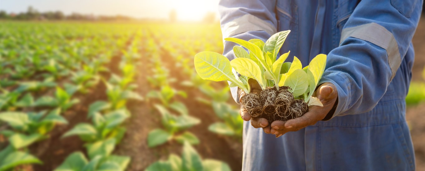 O crédito rural em Campo Grande-MS é a melhor opção de linha de crédito para produtores e cooperativas rurais investirem no agronegócio, o que inclui agricultura, pecuária, pesca e aquicultura. Há 4 linhas de crédito rural: custeio, investimento, comercialização e industrialização. Se você quer solicitar crédito com as taxas mais baixas do mercado, abra uma conta na agência Campo Grande do Sicoob União.